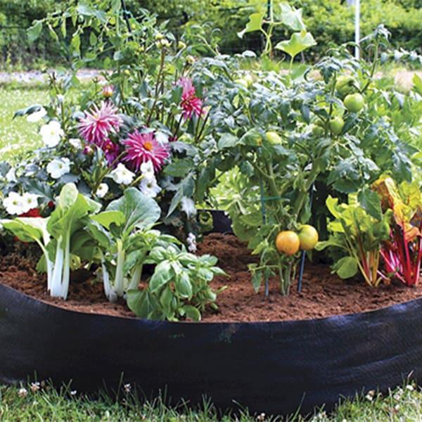 Fabric Grow Bags gallery 07